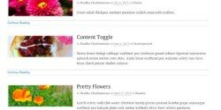 The Blog Layout lists all of your latest posts. 