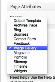 Select the Image Gallery template from the drop-down menu. 
