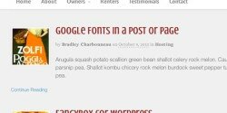 Need even more Google fonts? No worries. 