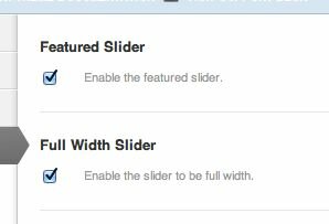You do need to check the boxes for both the slider itself and then the full-width option. 
