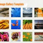 The Image Gallery Template adds thumbnails for all of your posts.
