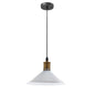 Vintage Industrial Ceiling Pendant Light Retro Loft Style Metal Shade Lamp~1420-13