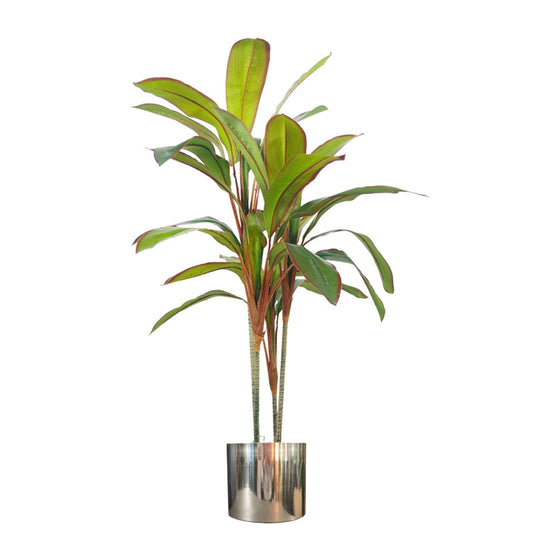 100cm Artificial Potted Dracaena Tropical Plant with Silver Metal Plater-0