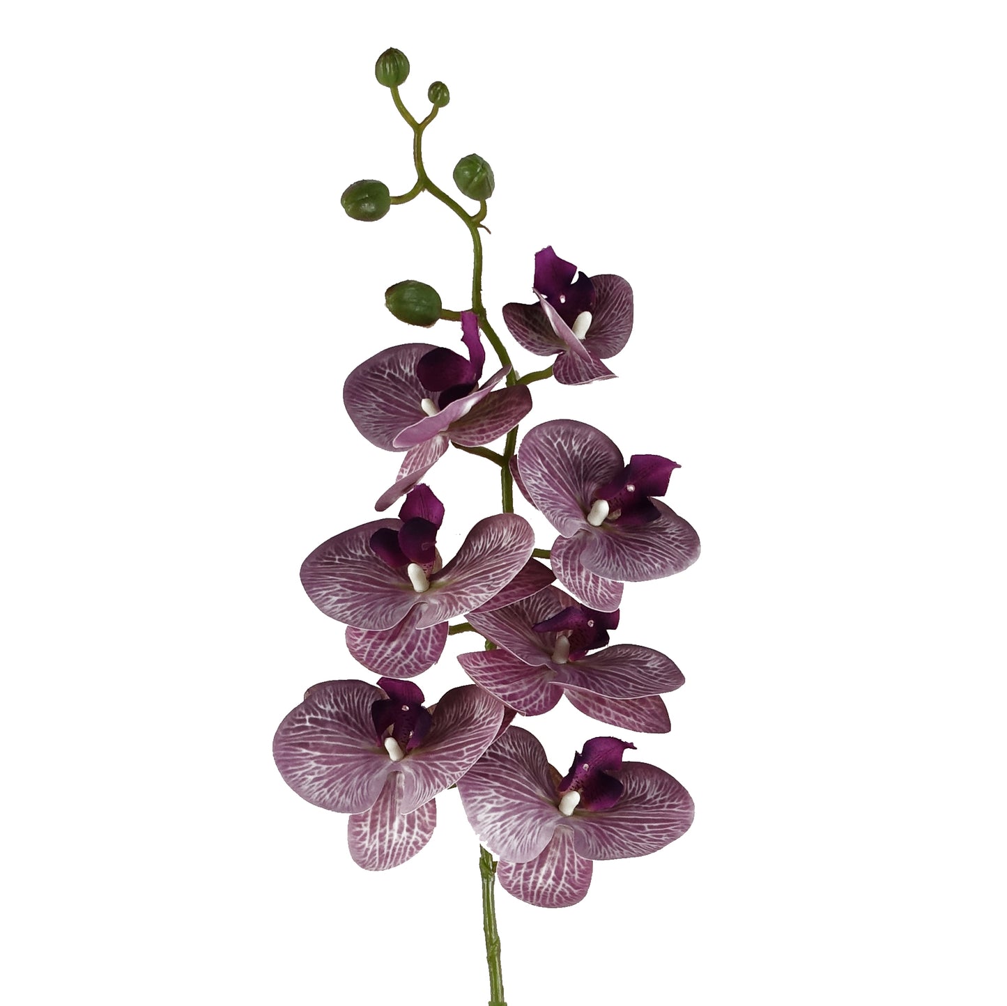 100cm Artificial Phalaenopsis Orchid Purple Stem-0