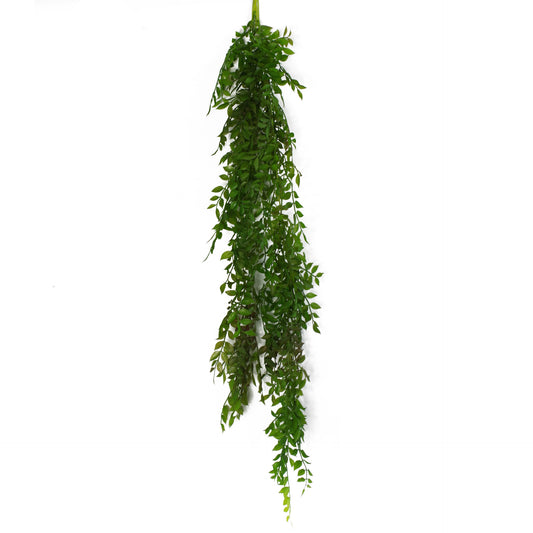 100cm Hanging String of Pearls Fern Plant Dark Green-0