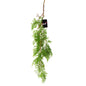 100cm Artificial Hanging Maidenhair Fern Plant Dark Green-0