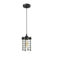 Industrial Vintage Pendant Light Retro Hanging Spiral Cage Mini~1442-7